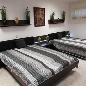 Appartement met een Slaapkamer